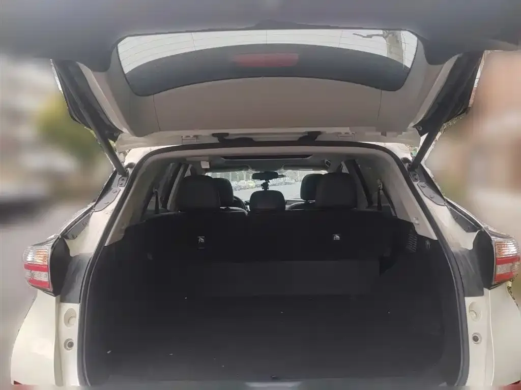 Nissan Murano 2021 из CN, фото 6