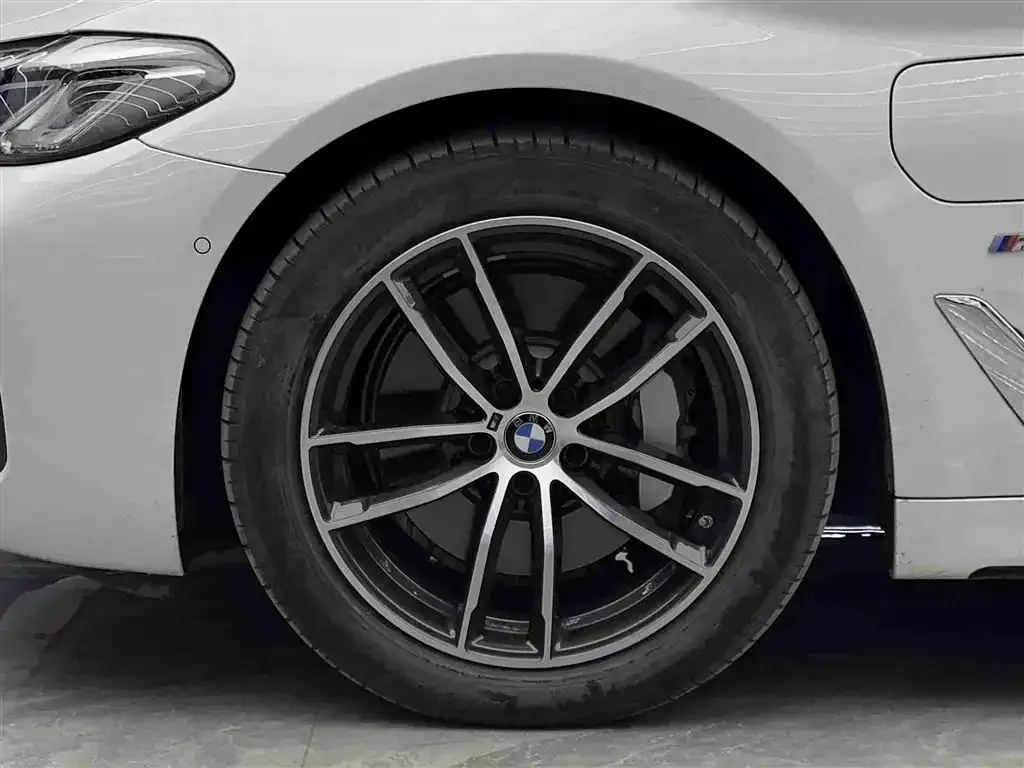 BMW 5 Series New Energy 2021 из CN, фото 3