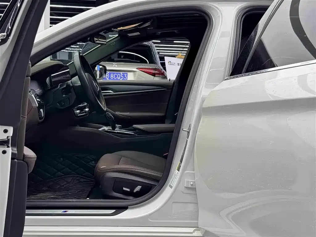 BMW 5 Series New Energy 2021 из CN, фото 10