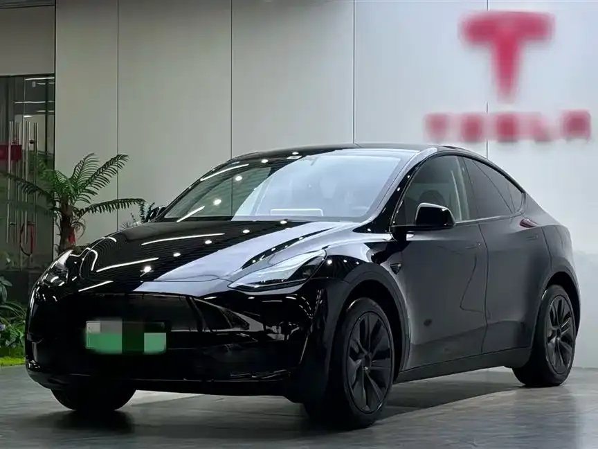 Tesla Model Y — фото 3