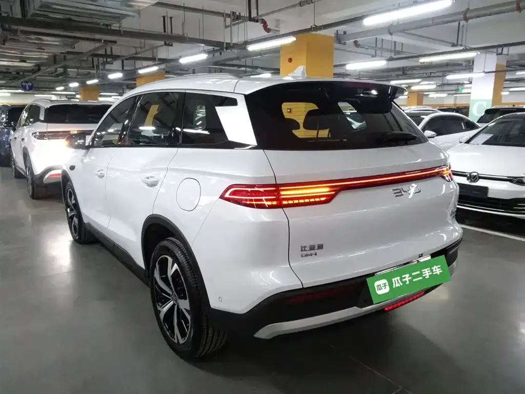 BYD Pro New Energy — фото 6