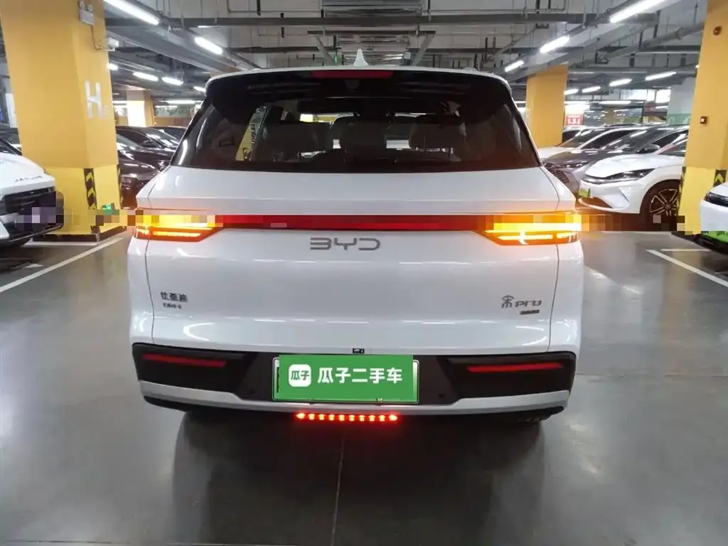 BYD Pro New Energy — фото 3