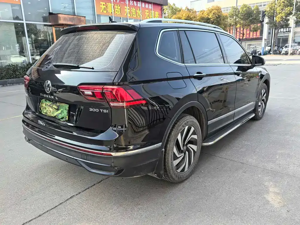 Volkswagen Tiguan L 2024 из CN, фото 4