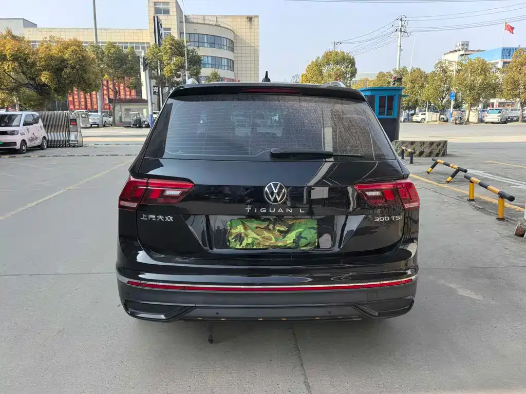 Volkswagen Tiguan L 2024 из CN, фото 7