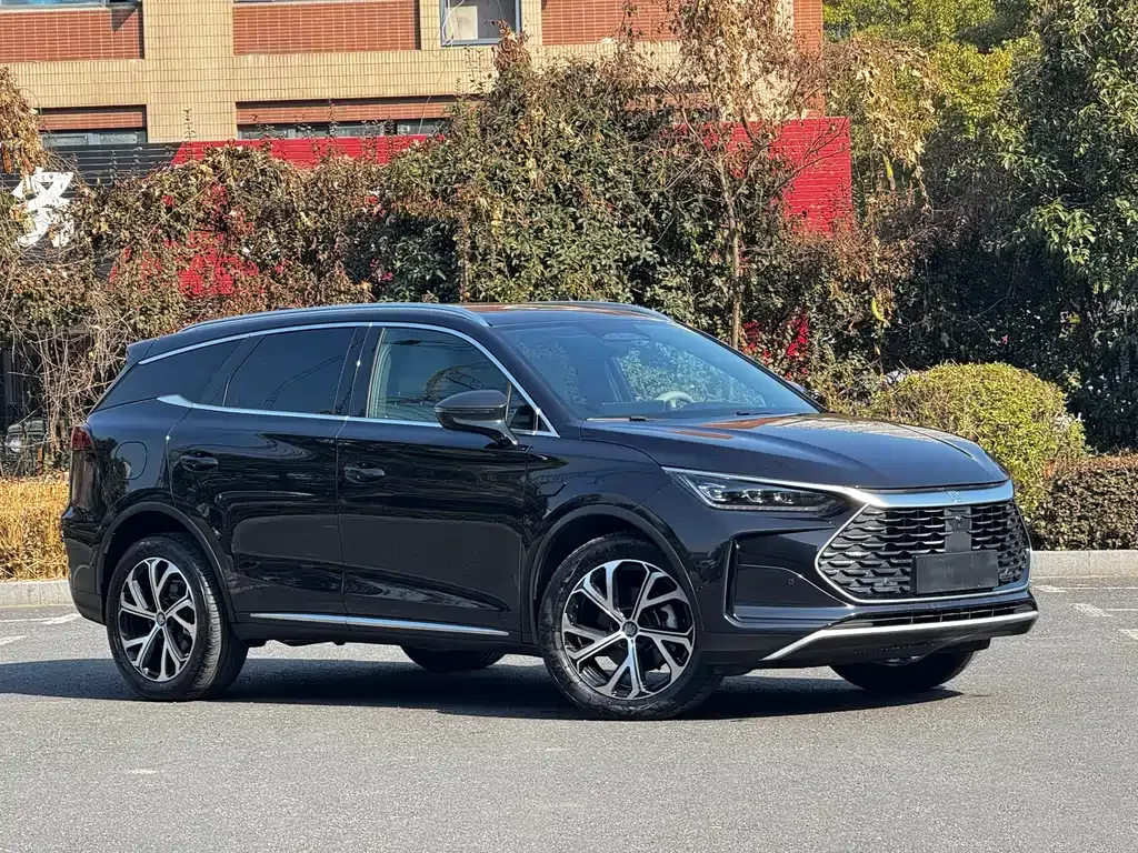 BYD Tang New Energy — фото 10