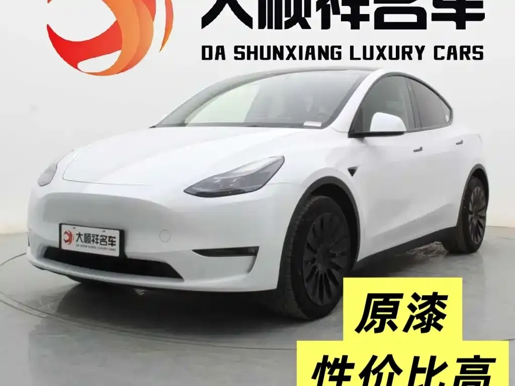 Tesla Model Y 2021 из CN, фото 1