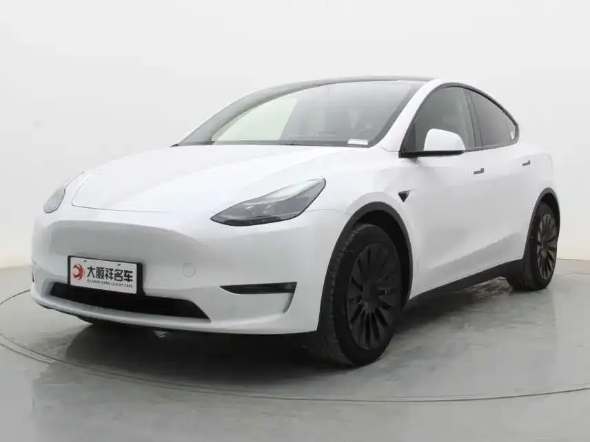 Tesla Model Y 2021 из CN, фото 2