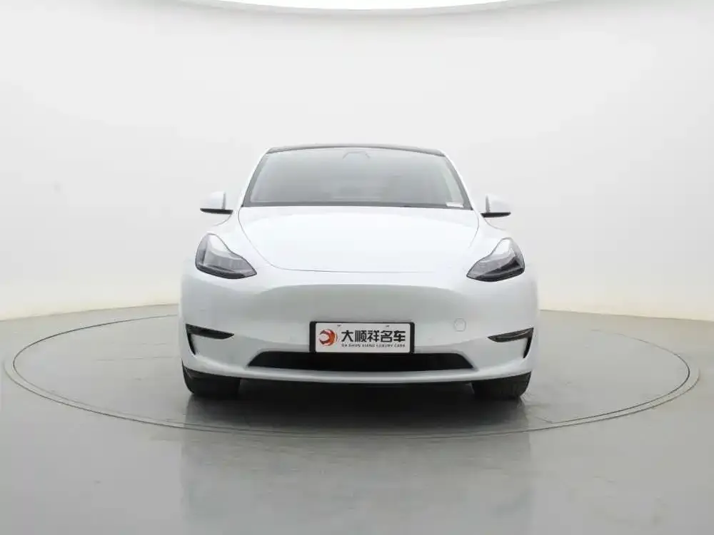 Tesla Model Y 2021 из CN, фото 4