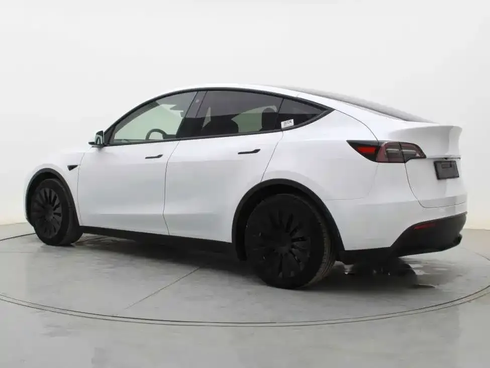 Tesla Model Y 2021 из CN, фото 6