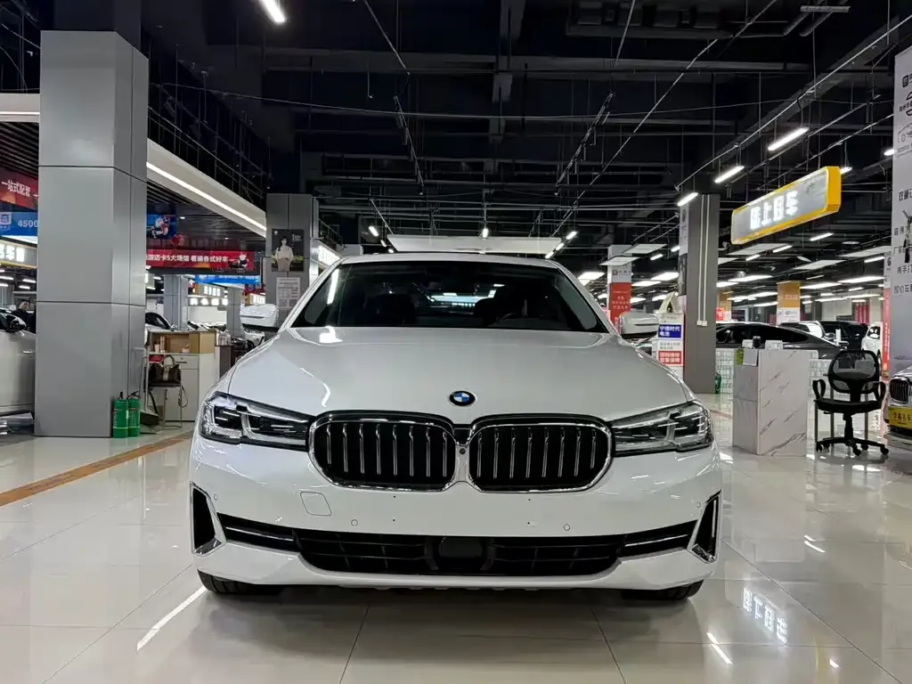BMW 5 Series 2022 из CN, фото 1