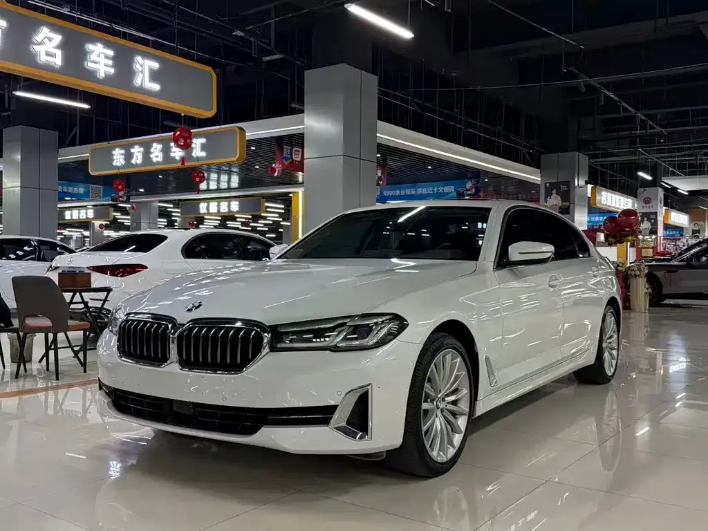 BMW 5 Series 2022 из CN, фото 10