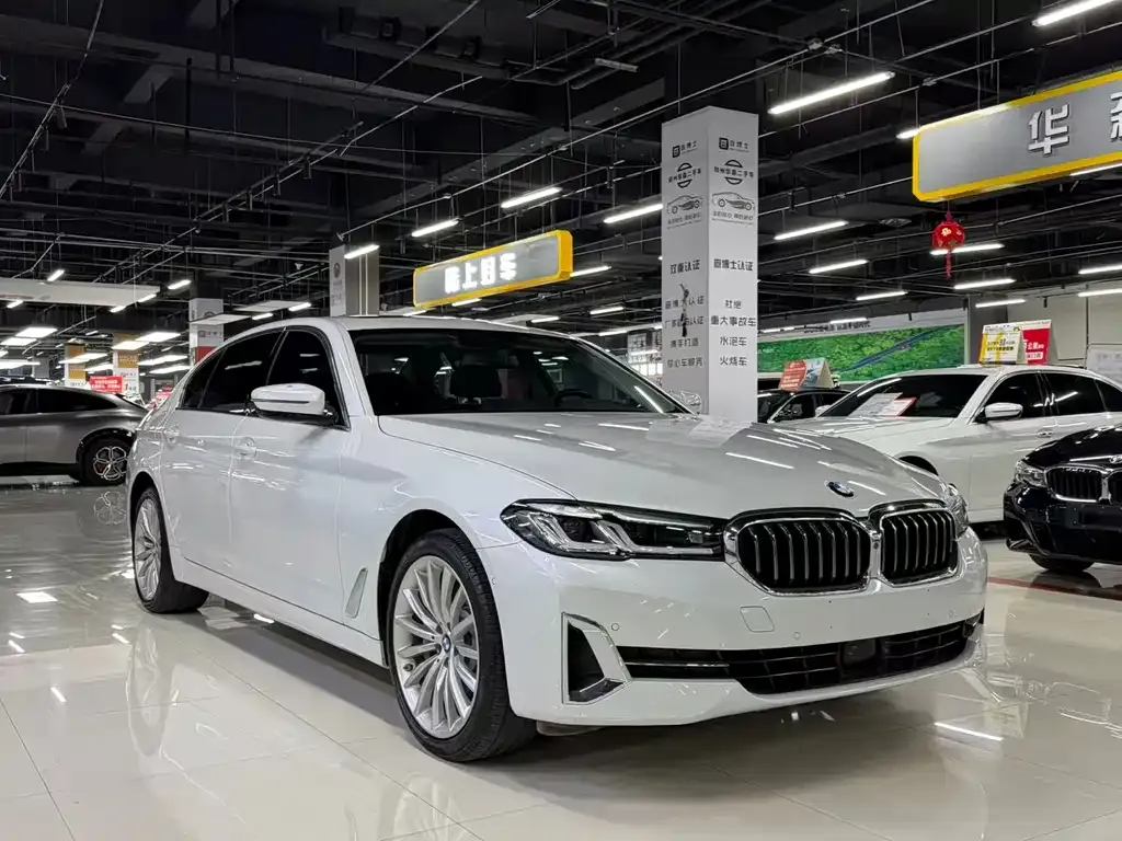 BMW 5 Series 2022 из CN, фото 6