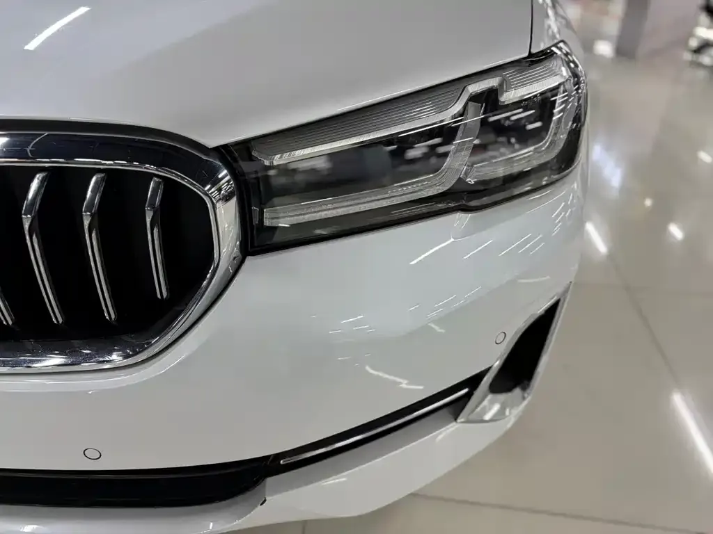 BMW 5 Series 2022 из CN, фото 7