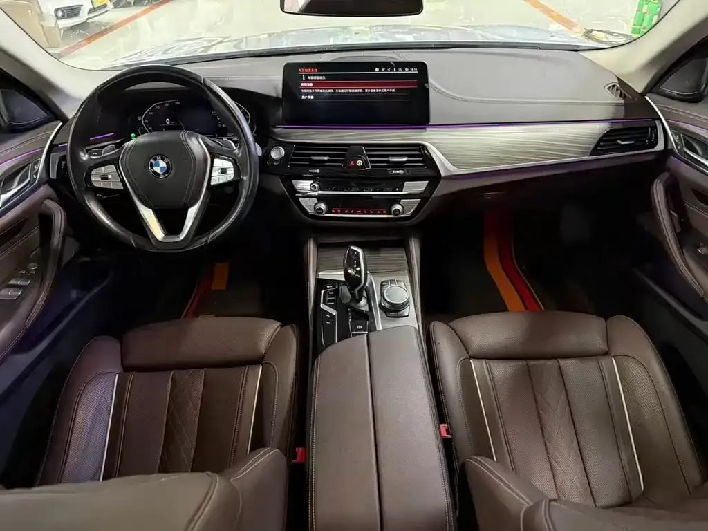 BMW 5 Series 2022 из CN, фото 9