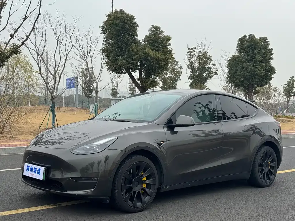 Tesla Model Y 2021 из CN, фото 1