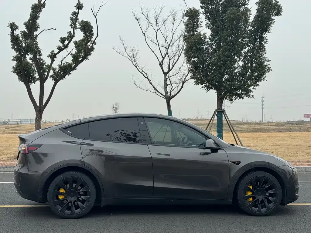 Tesla Model Y 2021 из CN, фото 4