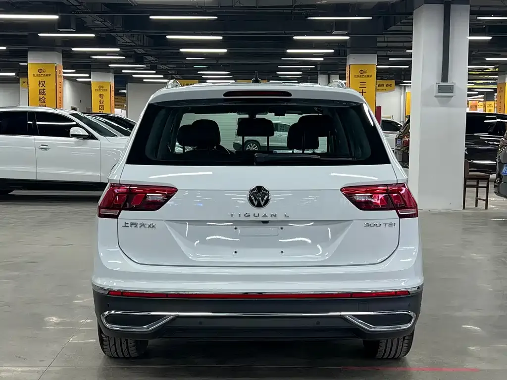 Volkswagen Tiguan L 2023 из CN, фото 3