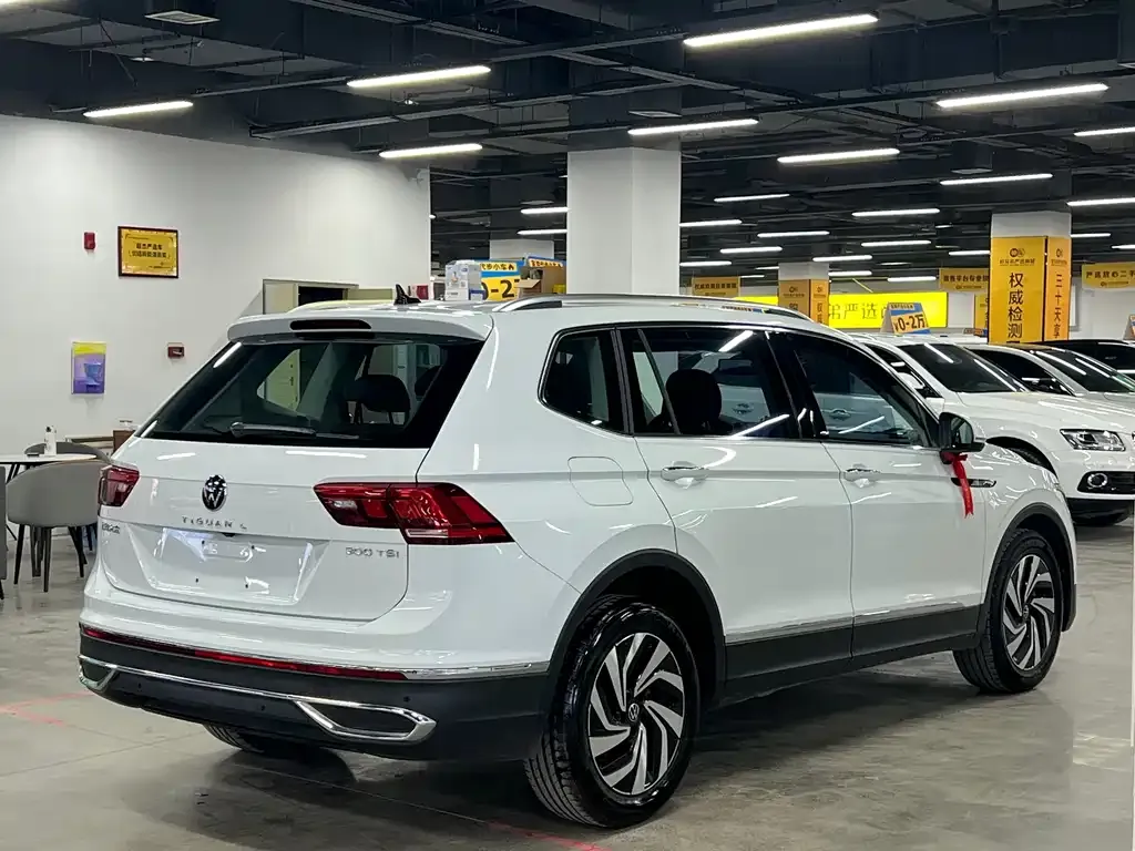 Volkswagen Tiguan L 2023 из CN, фото 9