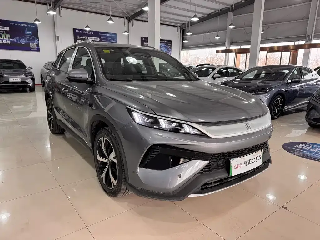 BYD Pro New Energy 2025 из CN, фото 3