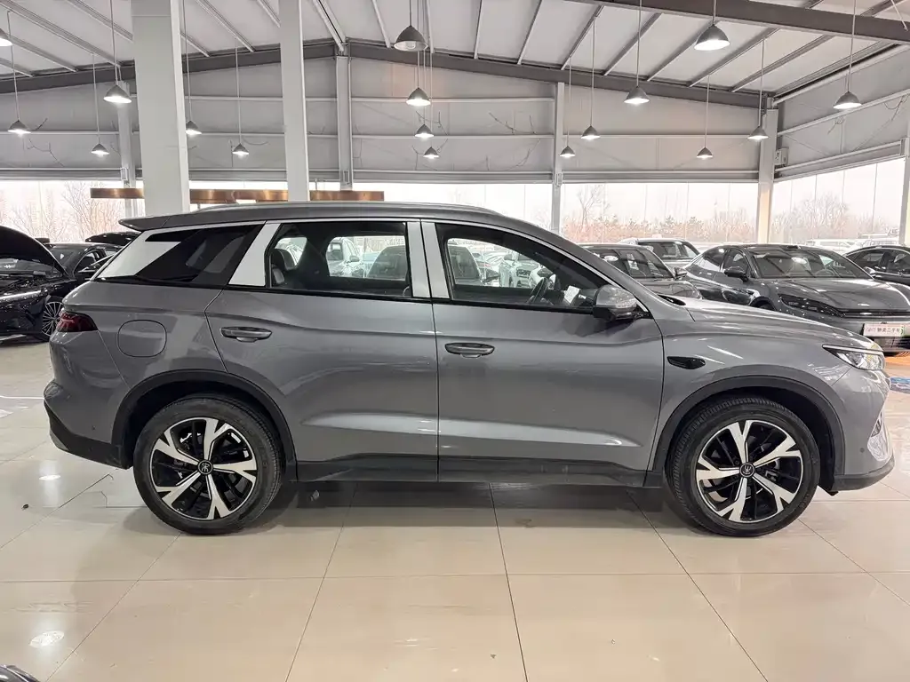 BYD Pro New Energy 2025 из CN, фото 2