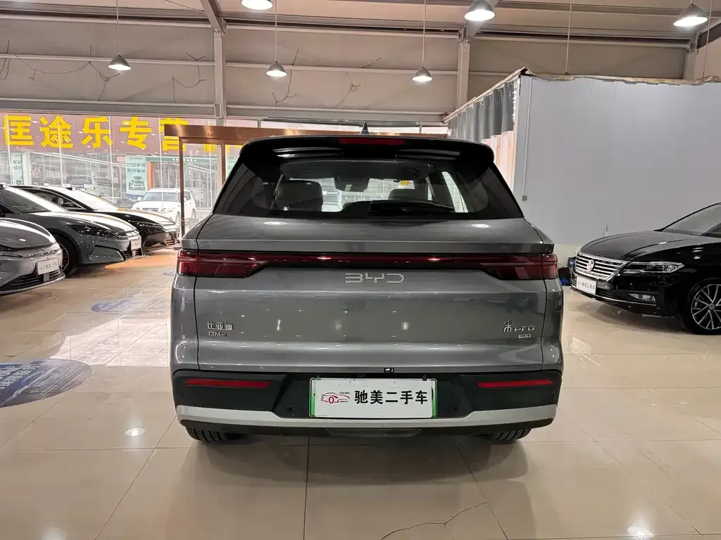 BYD Pro New Energy 2025 из CN, фото 5