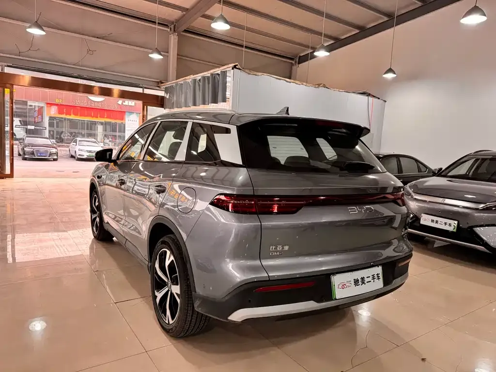 BYD Pro New Energy 2025 из CN, фото 7