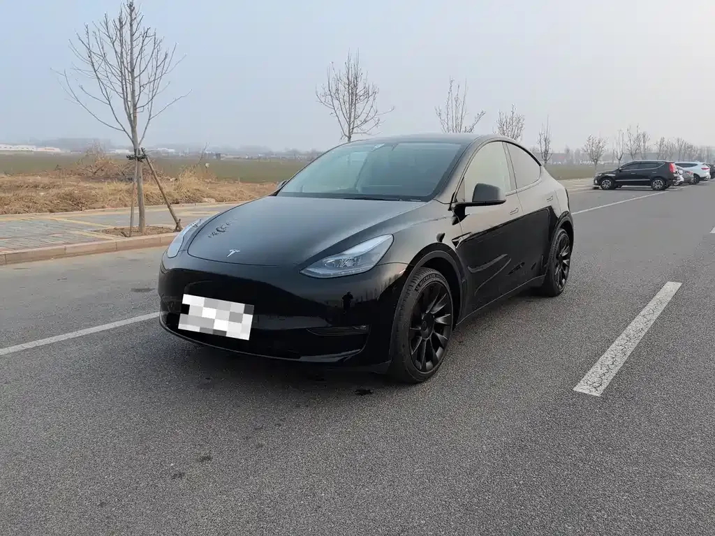Tesla Model Y — фото 1