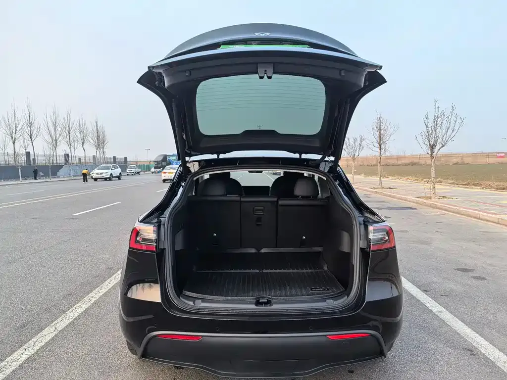 Tesla Model Y — фото 10