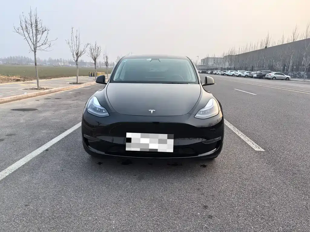 Tesla Model Y — фото 5