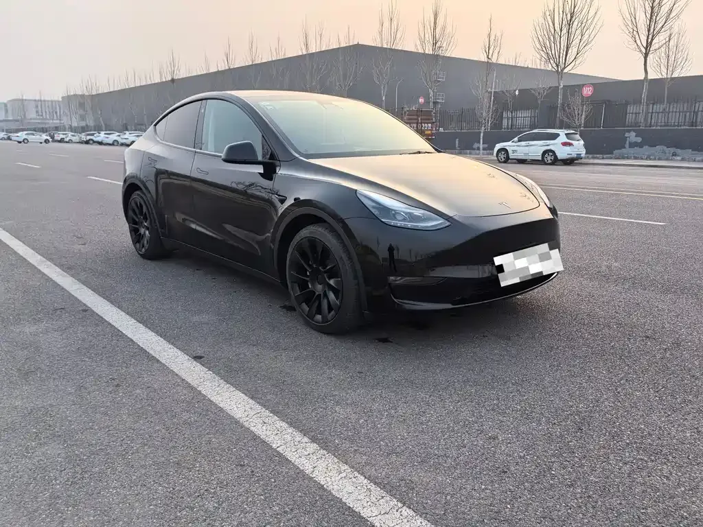 Tesla Model Y — фото 3