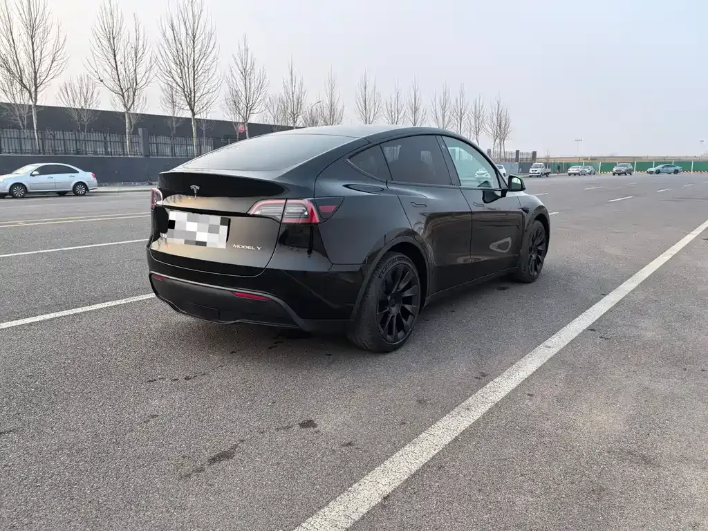 Tesla Model Y — фото 2