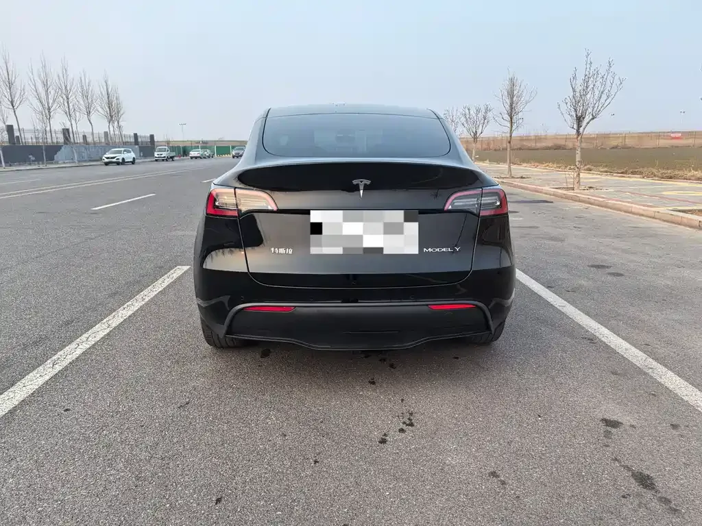Tesla Model Y — фото 4