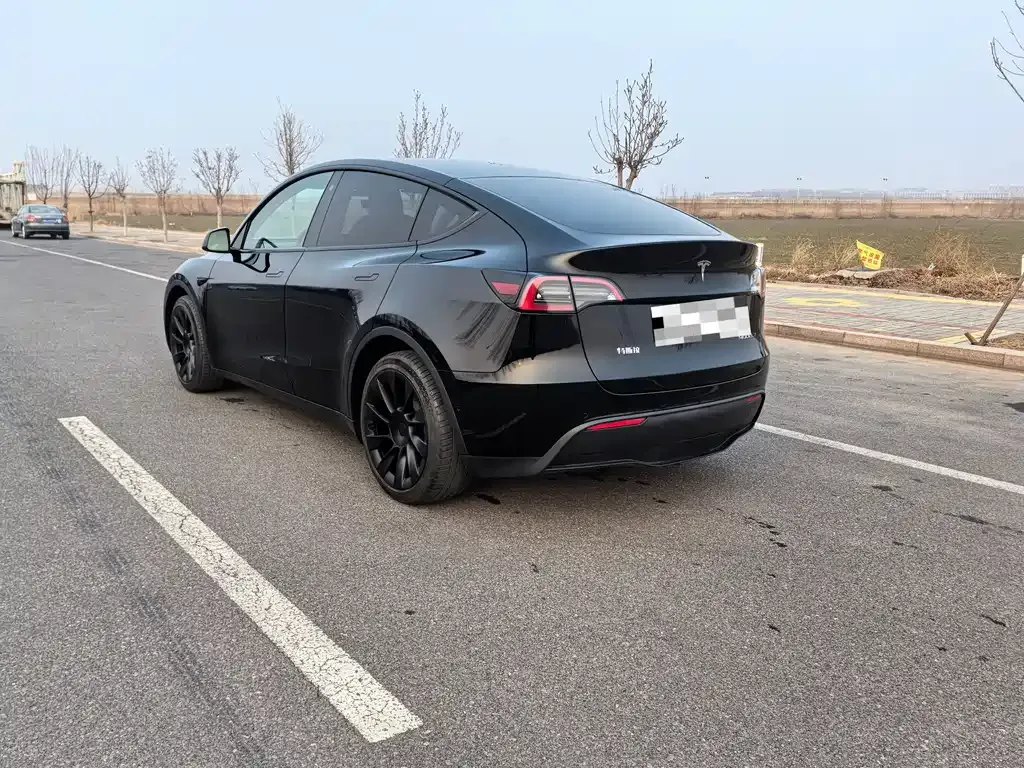 Tesla Model Y — фото 7