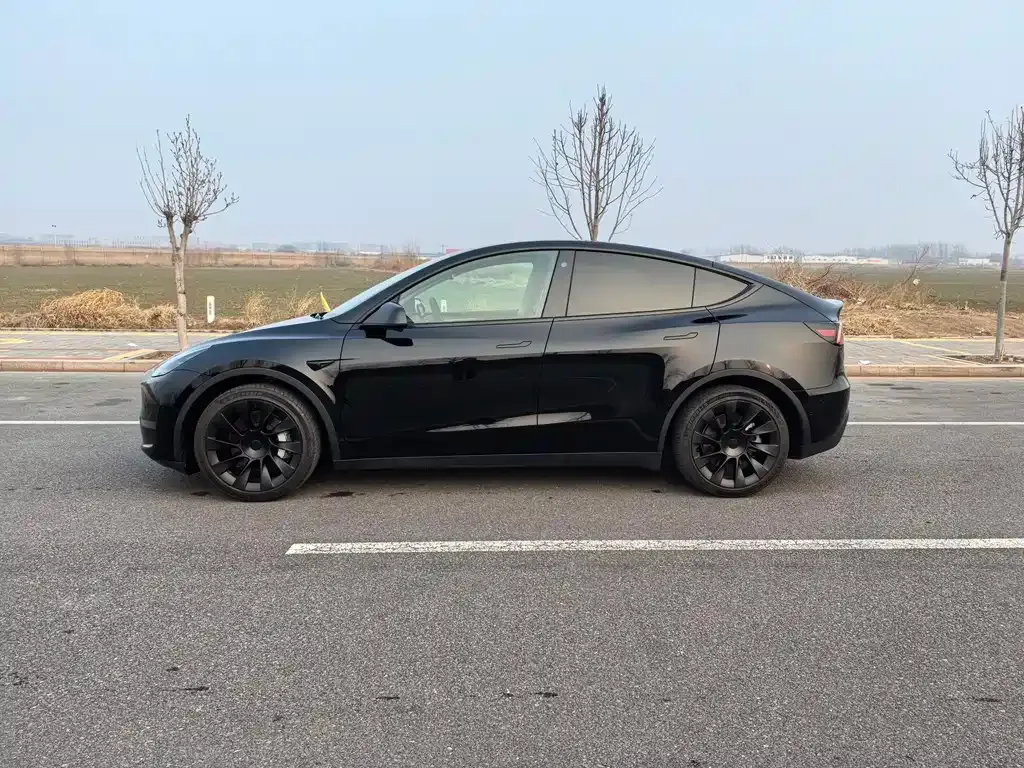 Tesla Model Y — фото 8