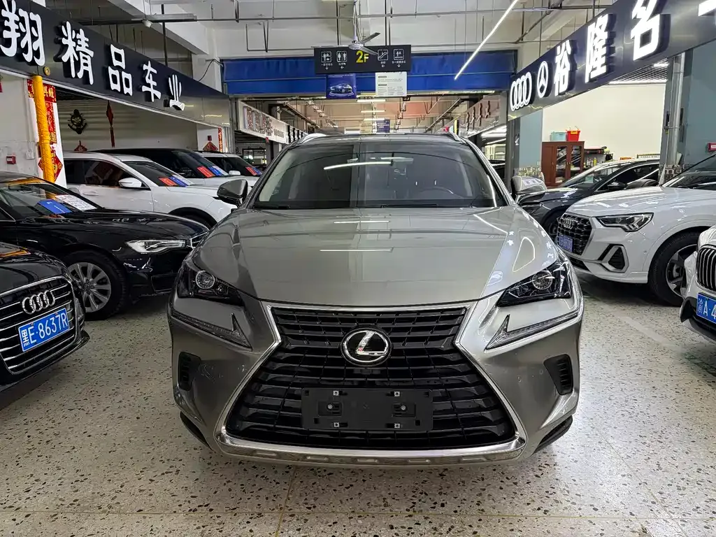 Lexus NX — фото 10