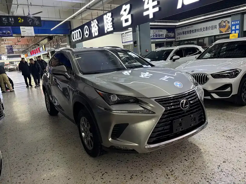 Lexus NX — фото 9