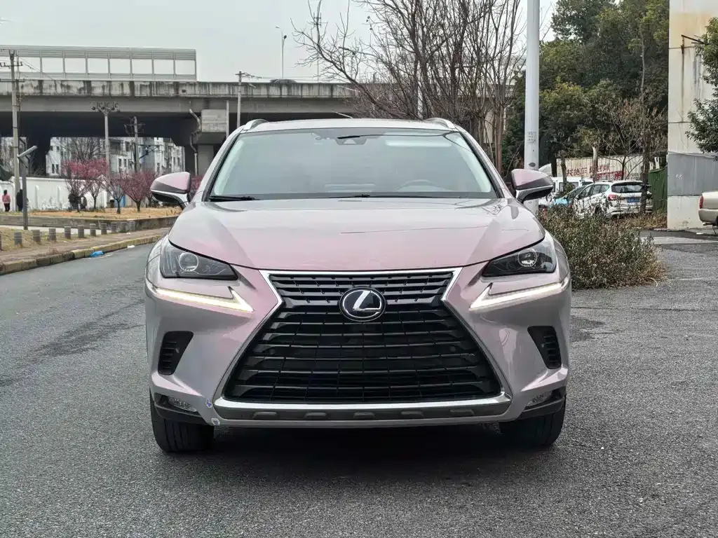 Lexus NX — фото 4