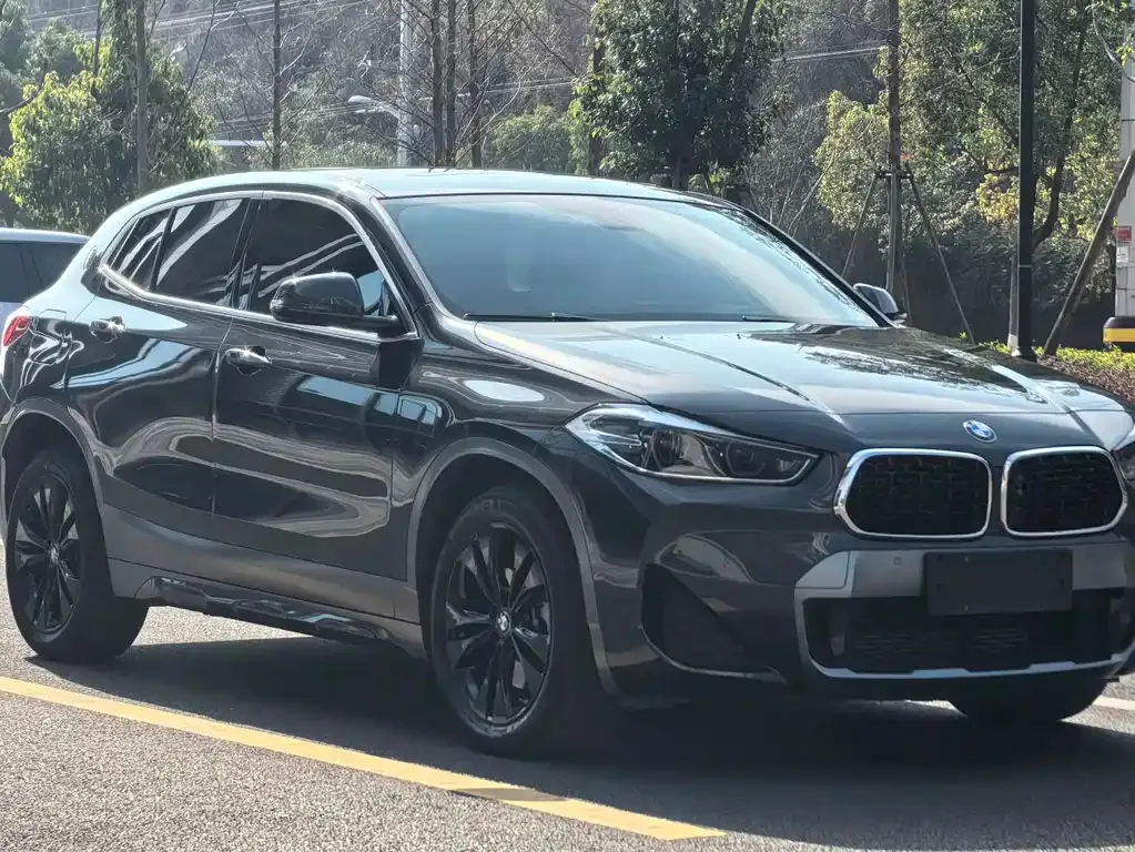 BMW X2 2024 из CN, фото 7