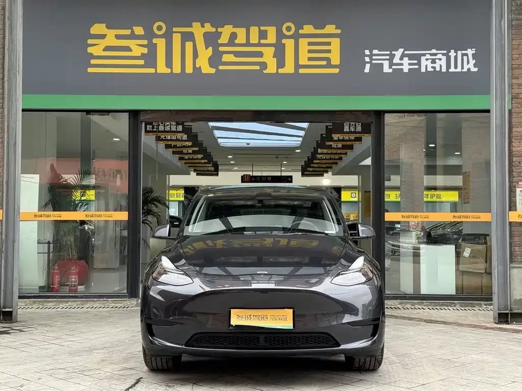 Tesla Model Y — фото 2