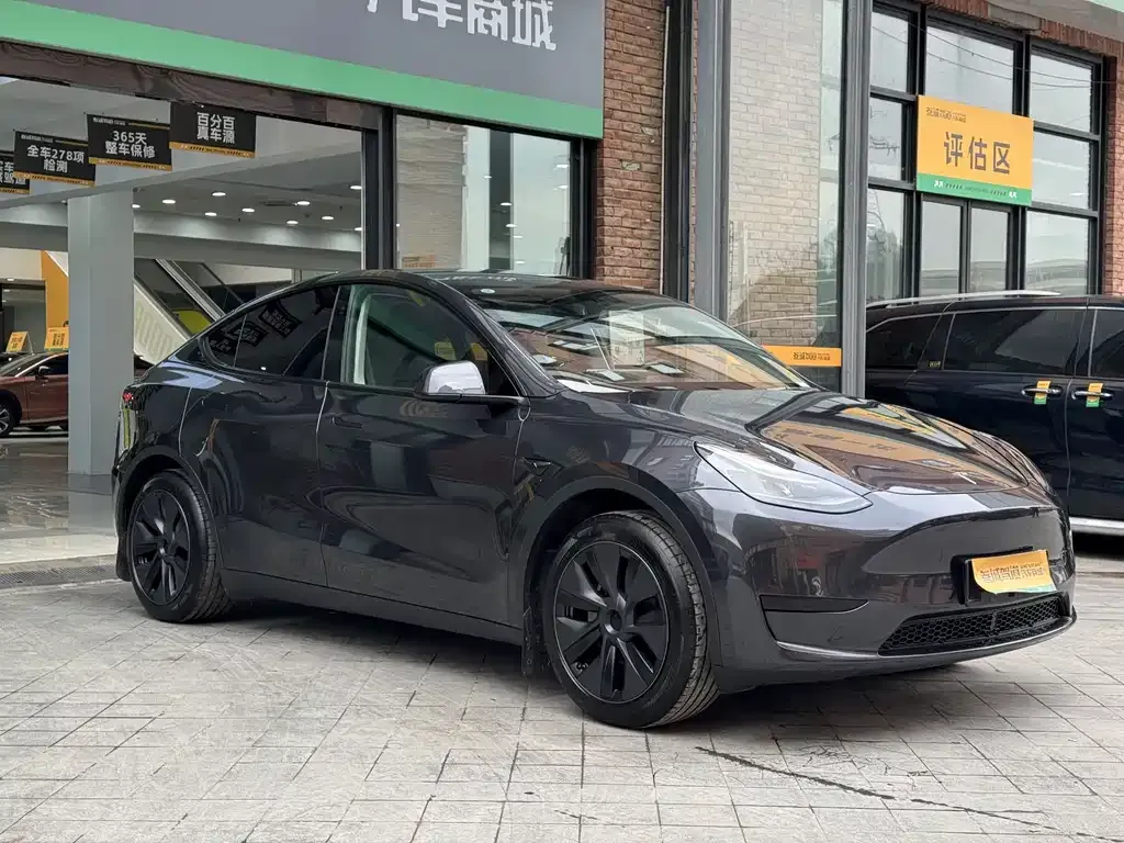 Tesla Model Y — фото 10
