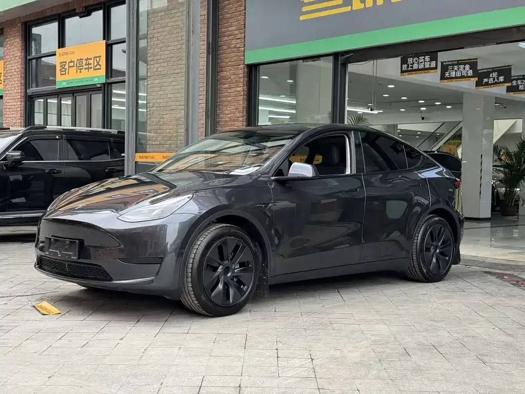 Tesla Model Y — фото 8