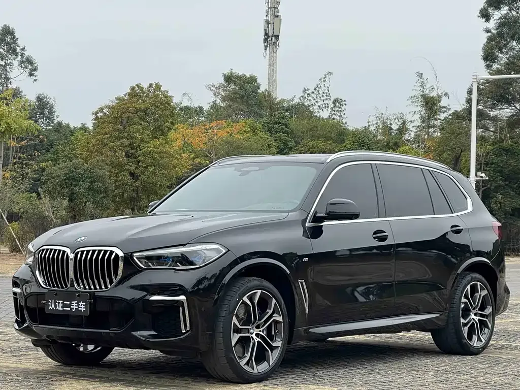 BMW X5 2022 из CN, фото 1