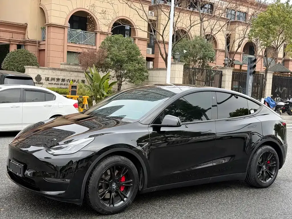 Tesla Model Y — фото 1