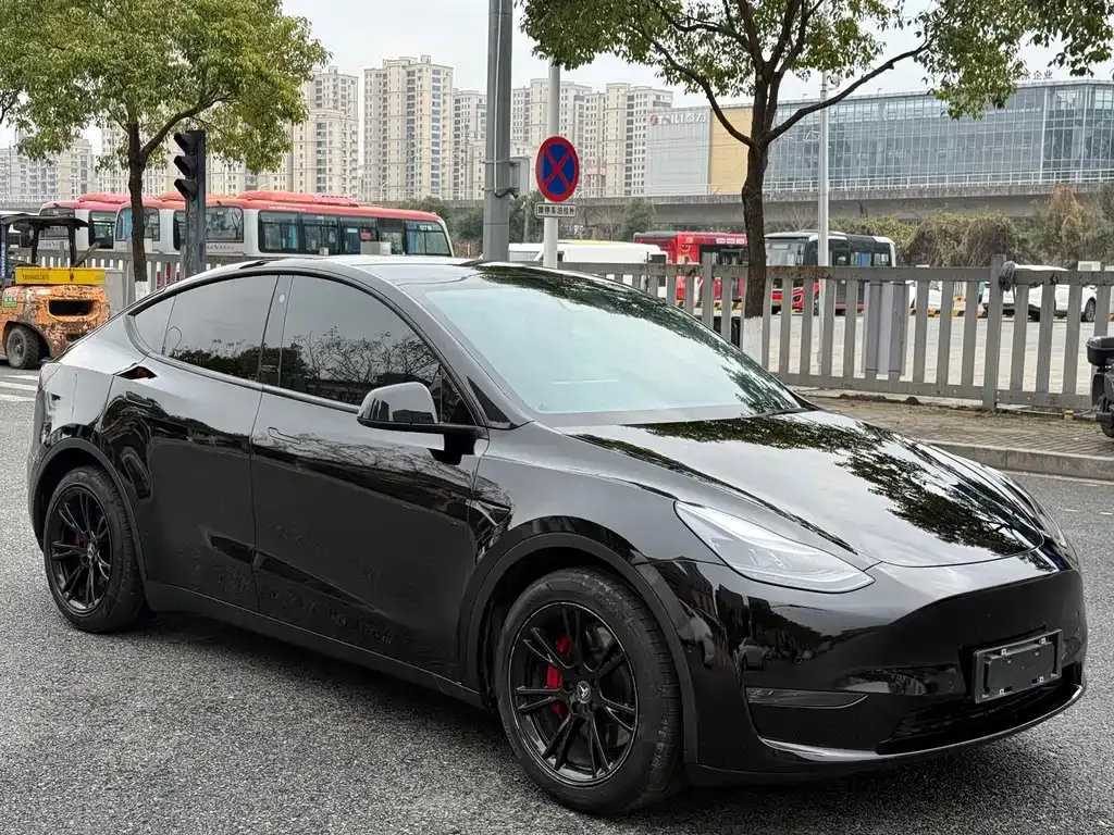 Tesla Model Y — фото 10