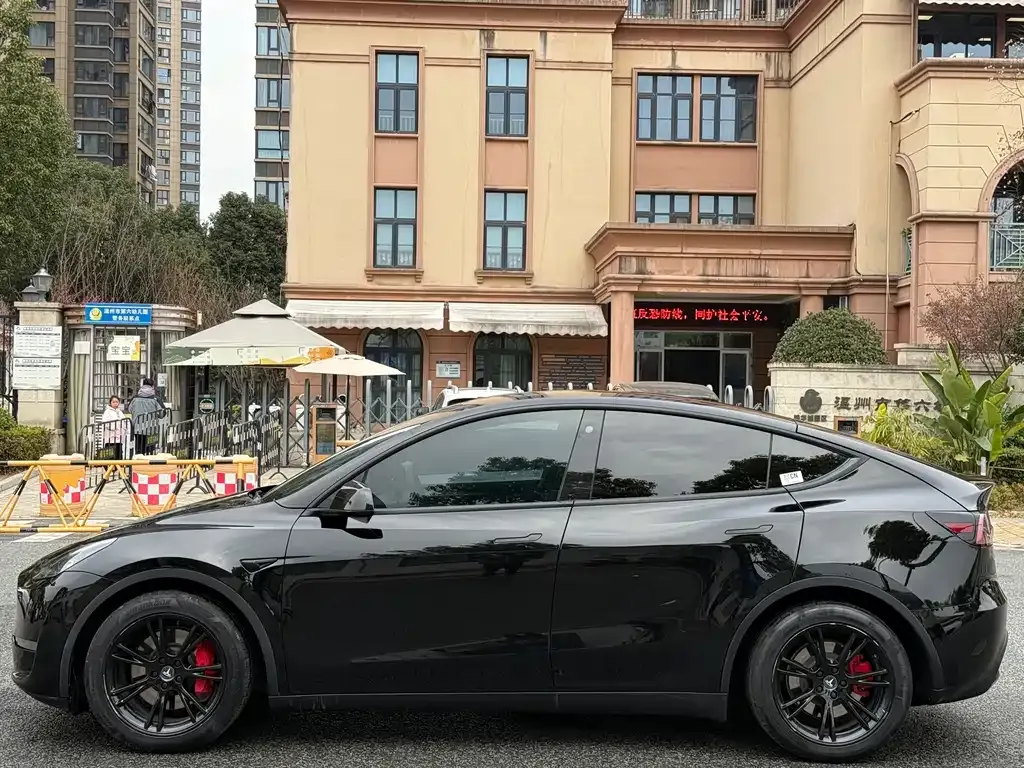 Tesla Model Y — фото 8
