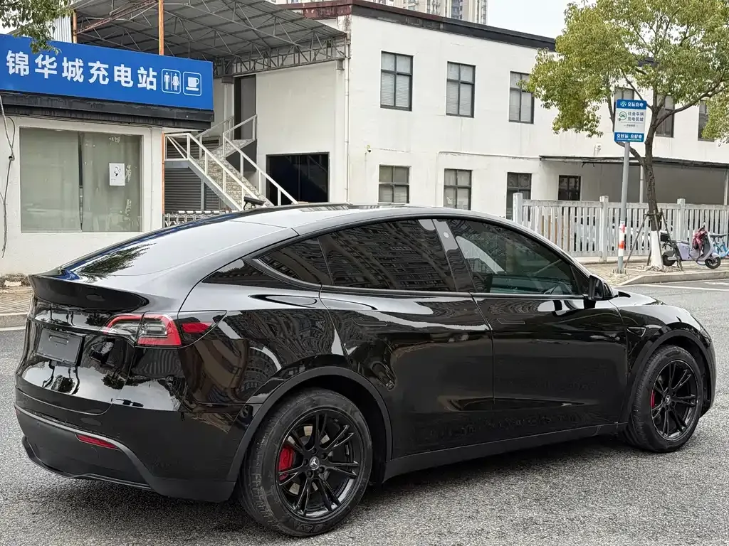 Tesla Model Y — фото 9