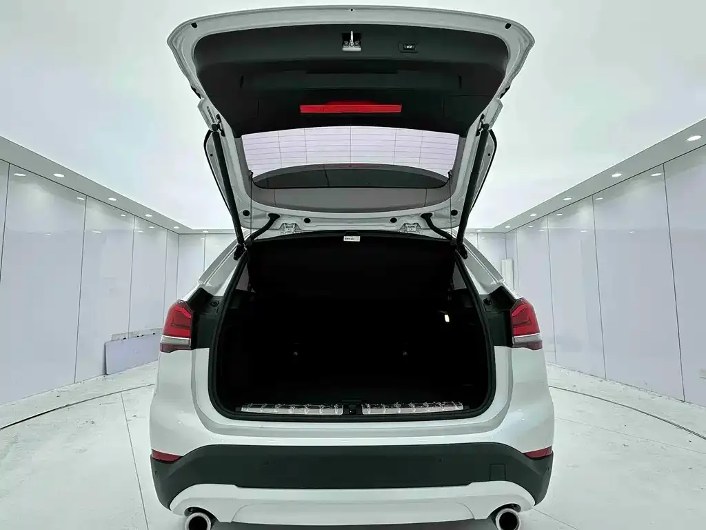BMW X1 2021 из CN, фото 4