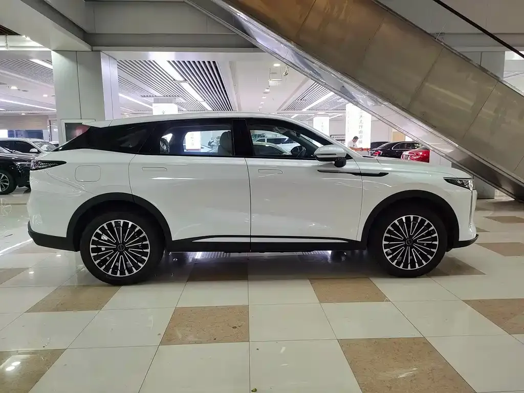 Exeed Yaoguang C-DM — фото 10