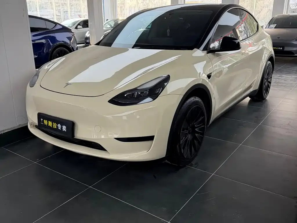 Tesla Model Y — фото 1