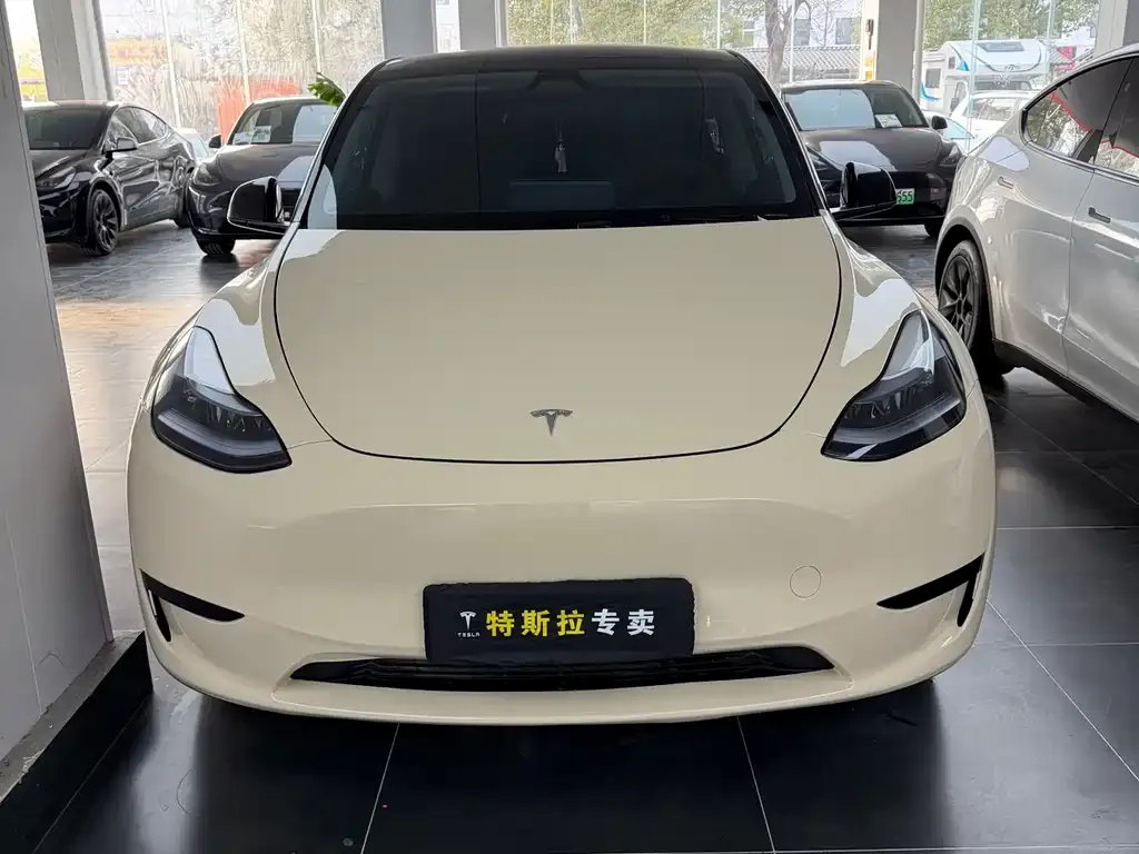 Tesla Model Y — фото 8